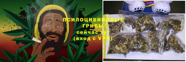 твердый Алзамай