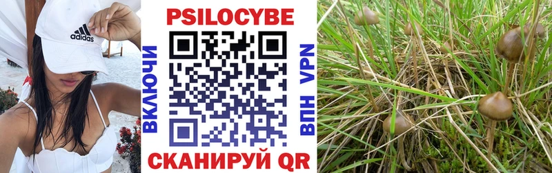 даркнет сайт  hydra ONION  Псилоцибиновые грибы Cubensis  Камбарка 